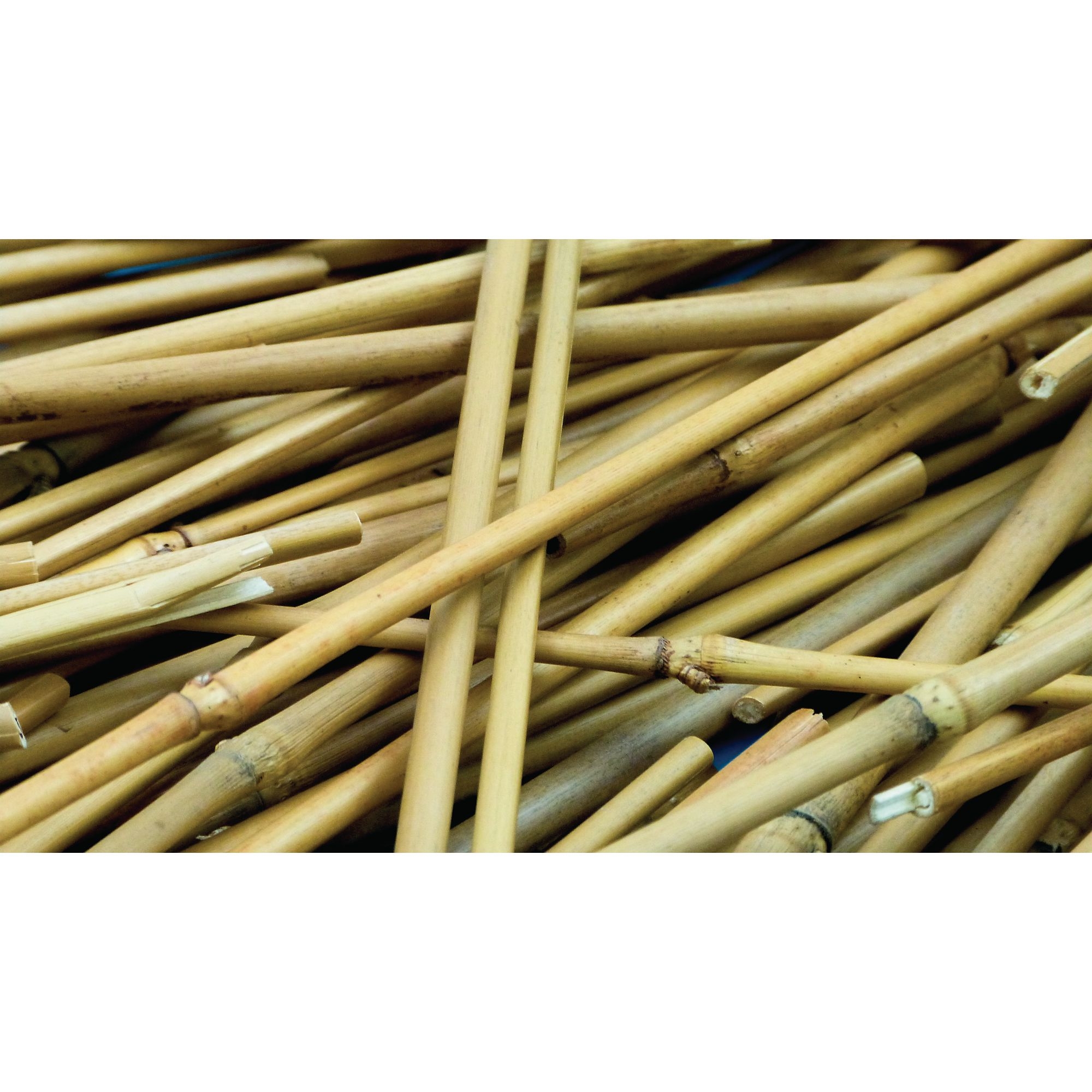 Long Bamboo Sticks